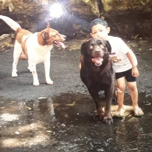 Meet your Posher, Danny